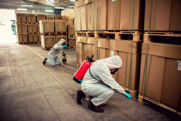 Best Pest Inspection Near Me  in Palmetto Bay, FL