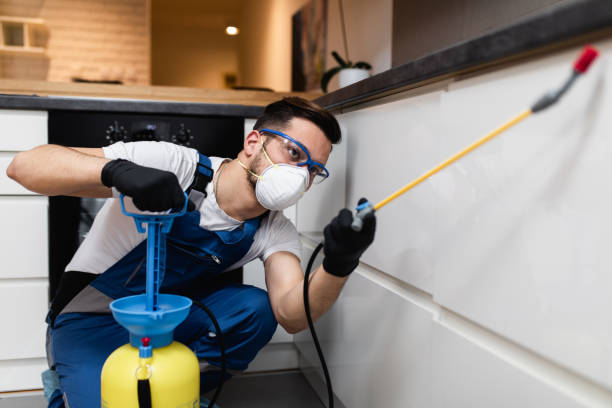 Best Insect Control  in Palmetto Bay, FL
