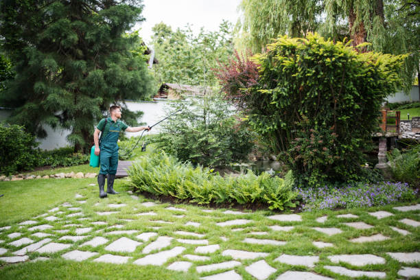 Best Pest Prevention Services  in Palmetto Bay, FL