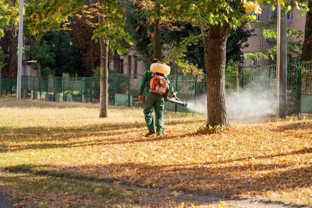 Best Pest Prevention Services  in Palmetto Bay, FL
